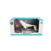 Animal Life, Hval og seler