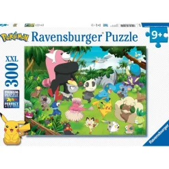 BRIO, Vill Pokemon 300P