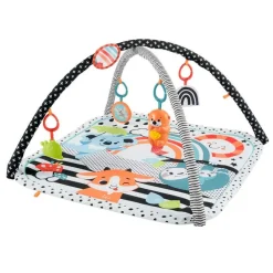 Fisher Price, 3-i-1 Musikk Glow & Grow Gym