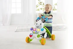 Fisher-Price Learn with Me Zebra Walker gåleke