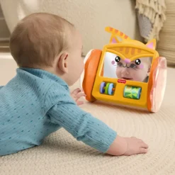 Fisher Price Pets Crawl & Play Speil