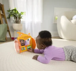 Fisher Price Pets Crawl & Play Speil