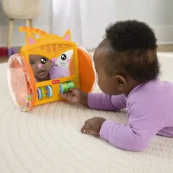 Fisher Price Pets Crawl & Play Speil