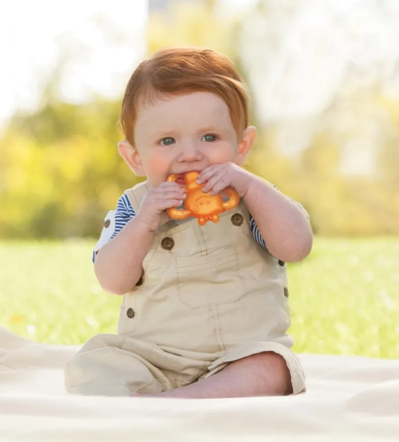 Infantino, Garden Teethings Pals