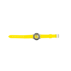 Time Teacher, Pokemon