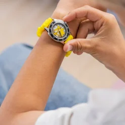Time Teacher, Pokemon