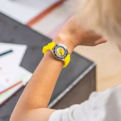 Time Teacher, Pokemon
